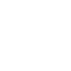V.F. Corporation Share Price